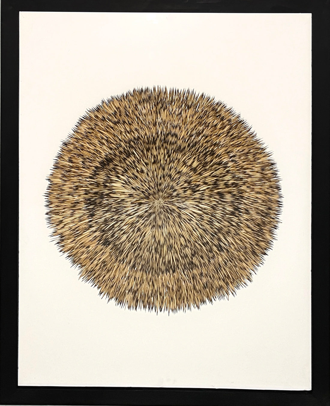 Finalist in the Womens Art Prize Tasmania 2024