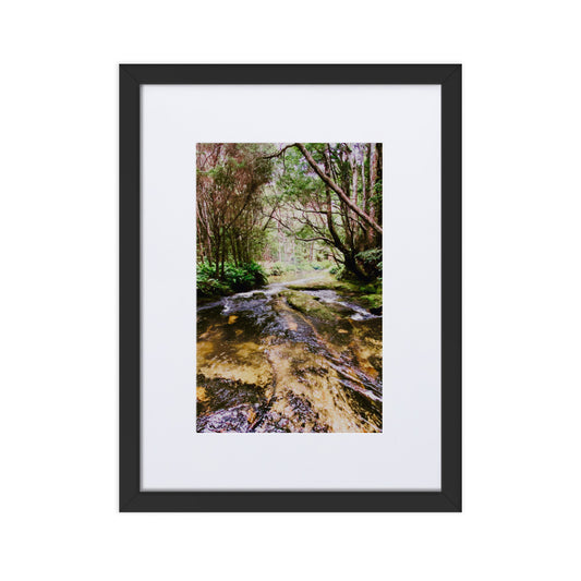 Beautiful river scene with overhead tree canopy.