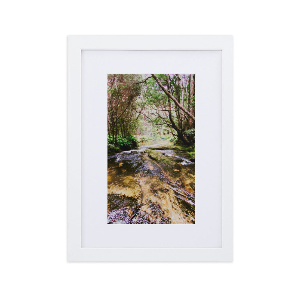 Beautiful river scene with overhead tree canopy.